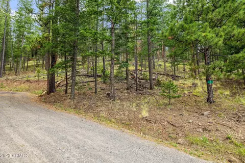 17 County Road N 1068 Greer Acres -- #39, Greer, AZ 85927