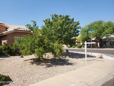 4223 E Terrace Ave, Gilbert, AZ 85234 photo 2