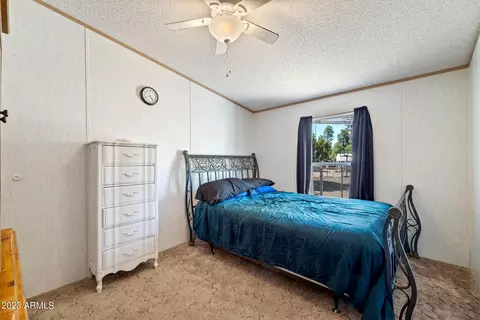 2893 Wahoo Rd, Overgaard, AZ 85933 photo 18
