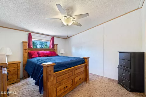2893 Wahoo Rd, Overgaard, AZ 85933 photo 12