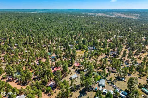 2893 Wahoo Rd, Overgaard, AZ 85933 photo 25