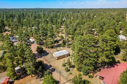2893 Wahoo Rd, Overgaard, AZ 85933 photo 26