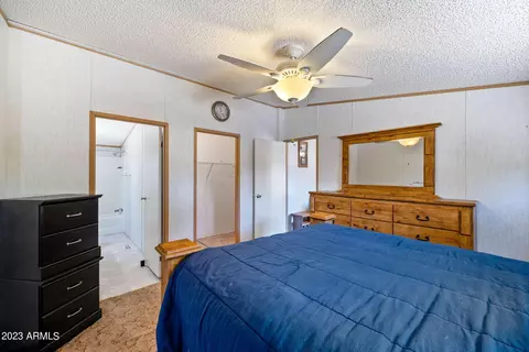 2893 Wahoo Rd, Overgaard, AZ 85933 photo 13