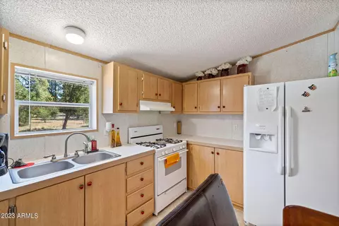 2893 Wahoo Rd, Overgaard, AZ 85933 photo 9