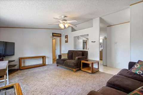 2893 Wahoo Rd, Overgaard, AZ 85933 photo 6