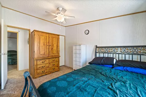 2893 Wahoo Rd, Overgaard, AZ 85933 photo 19