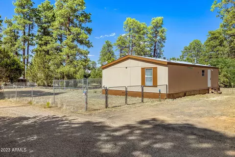 2893 Wahoo Rd, Overgaard, AZ 85933 photo 3