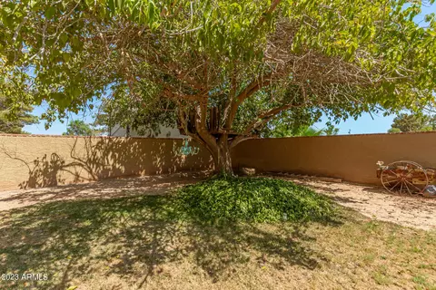 12705 E Cloud Rd, Chandler, AZ 85249 photo 48
