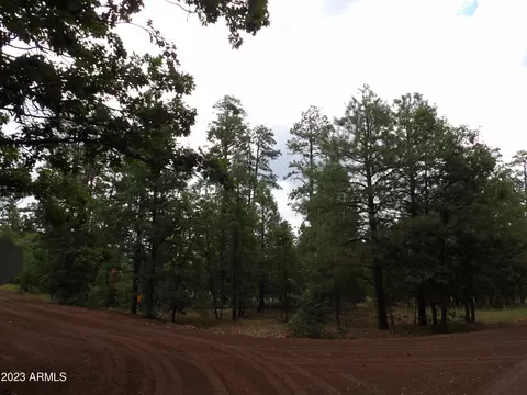 1597 Turkey Mountain Rd #61, Happy Jack, AZ 86024