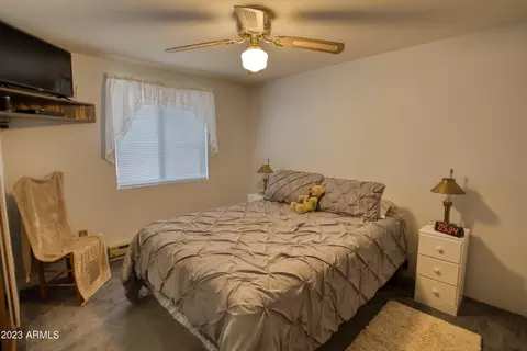 2178 Rainbow Trl, Overgaard, AZ 85933 photo 16