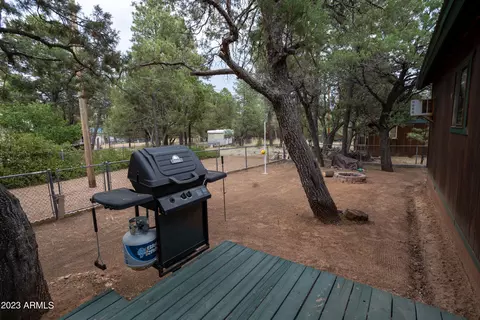 2178 Rainbow Trl, Overgaard, AZ 85933 photo 19