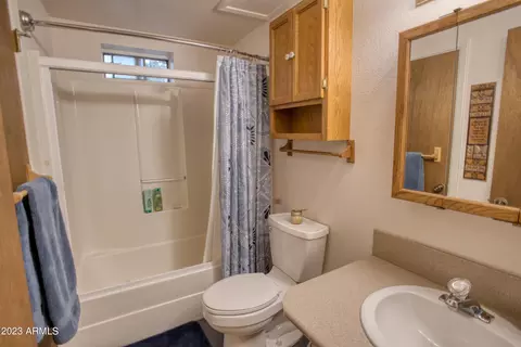 2178 Rainbow Trl, Overgaard, AZ 85933 photo 17