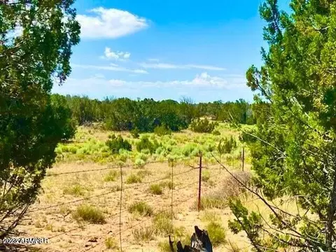 tbd N7298 Lots 104 105 80 Acres -- #104, Sanders, AZ 86512