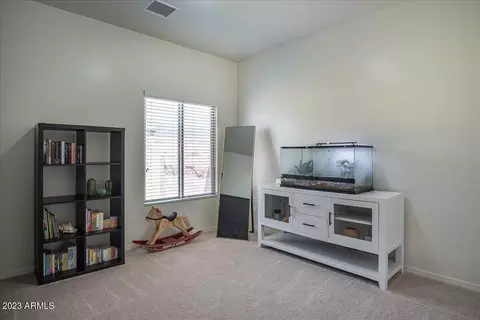 6771 E Vaquero Cir, Hereford, AZ 85615 photo 22