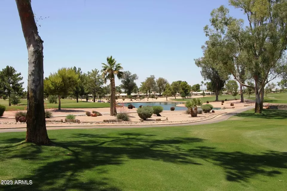  26614 S Pinewood Dr, Sun Lakes, AZ 85248 photo 25