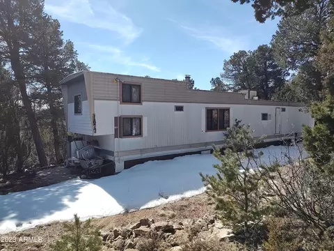 1677 Falcon Ln #045W, Heber, AZ 85928