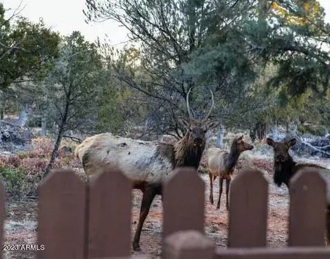 310 W Christopher Pt, Payson, AZ 85541 photo 32