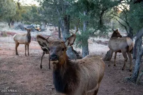 310 W Christopher Pt, Payson, AZ 85541 photo 34