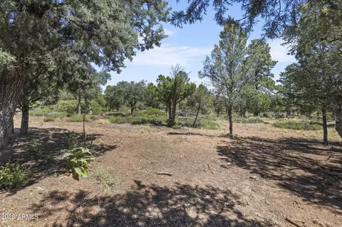 310 W Christopher Pt, Payson, AZ 85541 photo 35