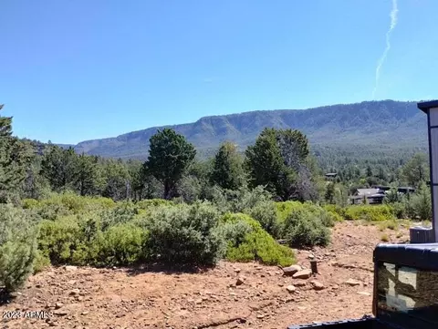 1162 Elk Rim Ct, Pine, AZ 85544 photo 4