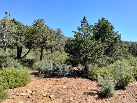 1162 Elk Rim Ct, Pine, AZ 85544 photo 5