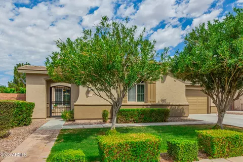 556 W Sweet Shrub Ave, Queen Creek, AZ 85140