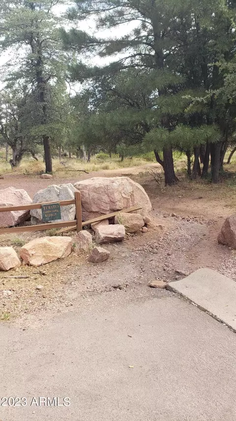 401 W Christopher Pt, Payson, AZ 85541 photo 32