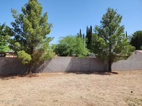 2802 E Borane St, Douglas, AZ 85607 photo 26