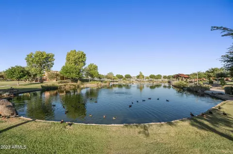 10417 E Corbin Ave, Mesa, AZ 85212 photo 37