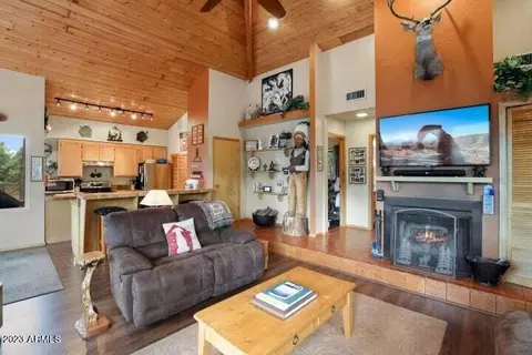 4492 N Meadow Way, Pine, AZ 85544 photo 3