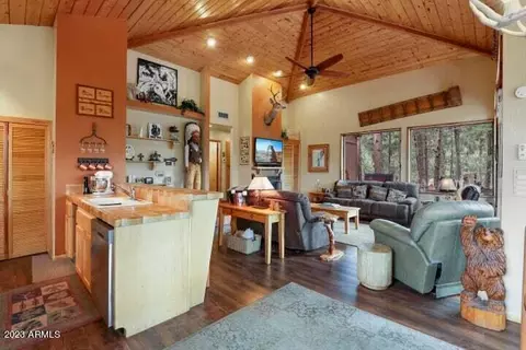 4492 N Meadow Way, Pine, AZ 85544 photo 5