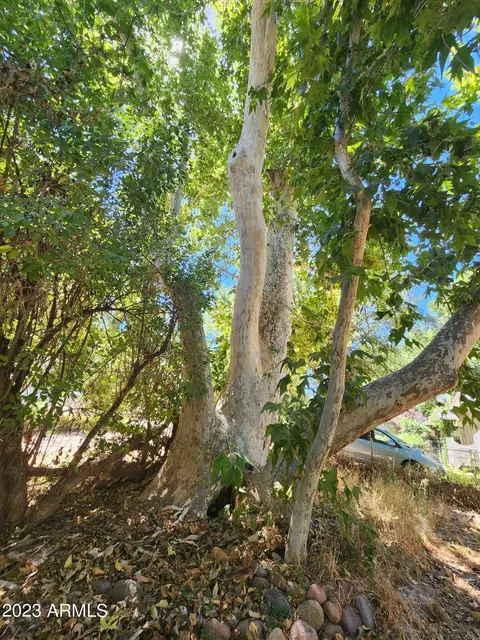 322 S River Rd, Payson, AZ 85541 photo 5