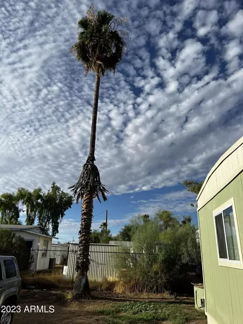 920 S Cedar Dr, Apache Junction, AZ 85120 photo 7
