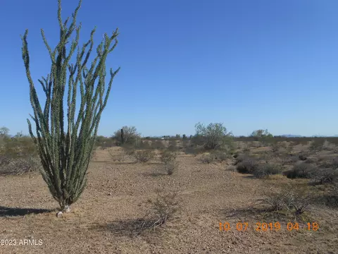 31409 W Campbell Ave #100, Buckeye, AZ 85396