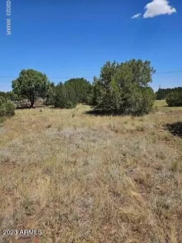 8576 Red Fox Ln #315, Show Low, AZ 85901