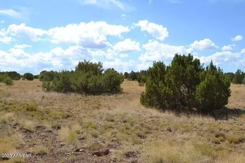 tbd Supancheck Rd #23, White Mountain Lake, AZ 85912