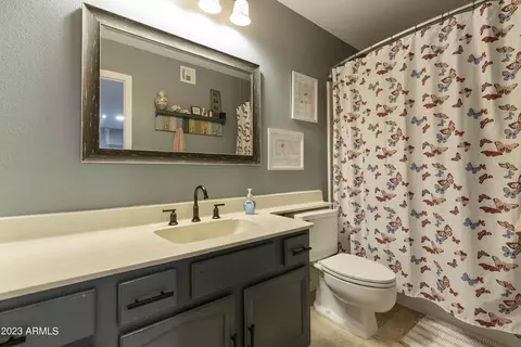 337 E Halifax St, Mesa, AZ 85201 photo 37