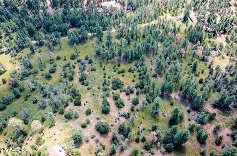 tbd Homestead Dr #-, Overgaard, AZ 85933 photo 3