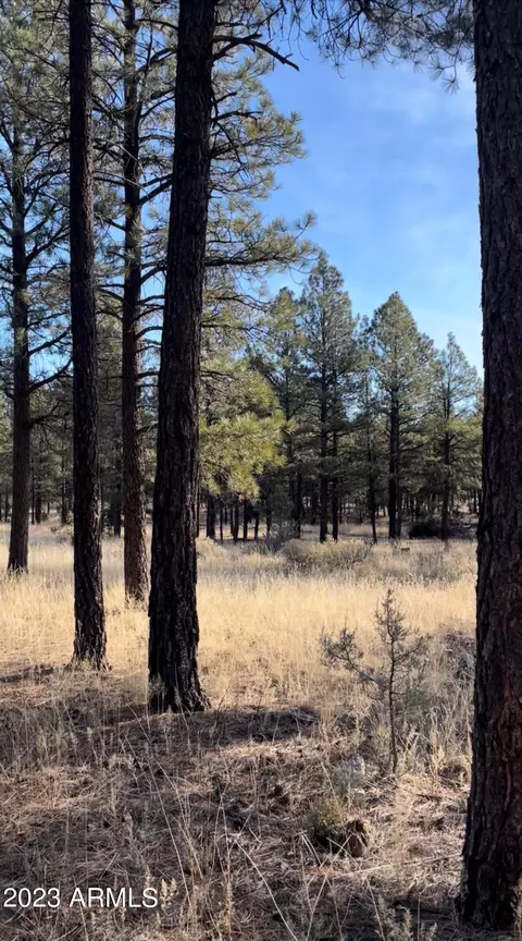 tbd Homestead Dr #-, Overgaard, AZ 85933 photo 4