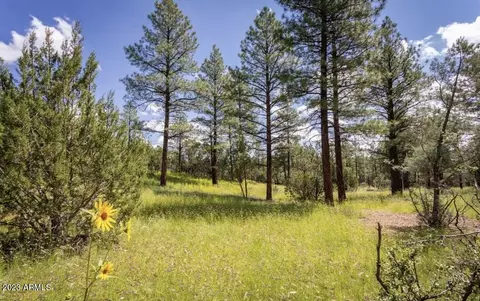tbd Homestead Dr #-, Overgaard, AZ 85933