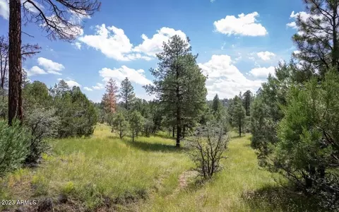 tbd Homestead Dr #-, Overgaard, AZ 85933 photo 2