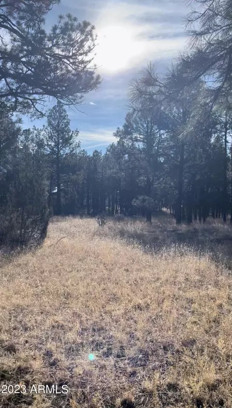 tbd Homestead Dr #-, Overgaard, AZ 85933 photo 5