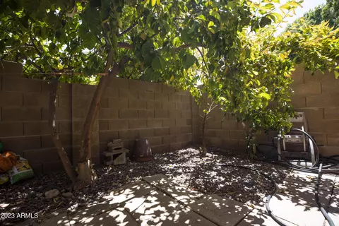 608 E Appaloosa Rd, Gilbert, AZ 85296 photo 28