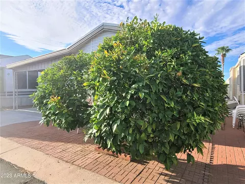 8700 E University Dr #503, Mesa, AZ 85207 photo 7