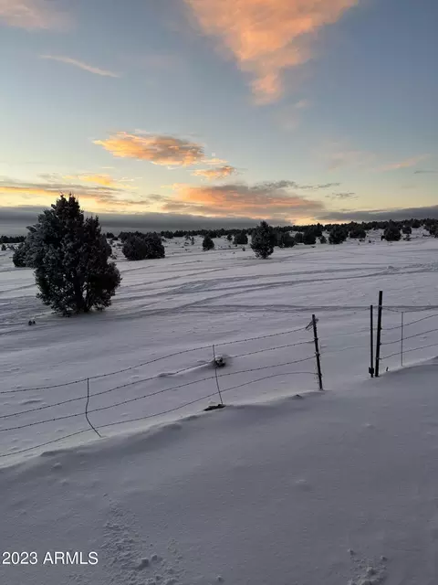2725 High Pine Loop, Overgaard, AZ 85933 photo 36
