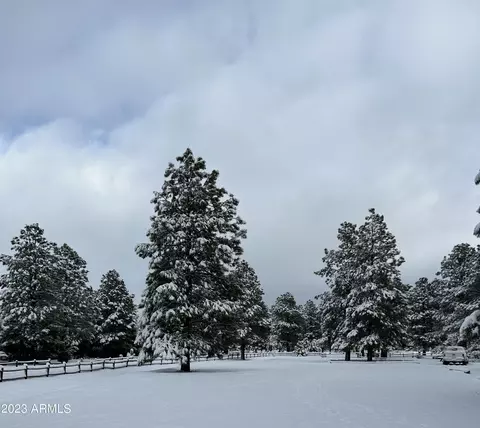 2725 High Pine Loop, Overgaard, AZ 85933 photo 34