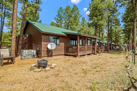 2725 High Pine Loop, Overgaard, AZ 85933 photo 25