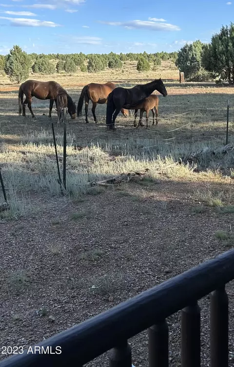 2725 High Pine Loop, Overgaard, AZ 85933 photo 31