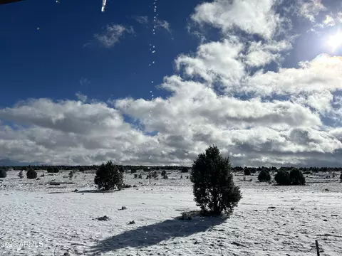 2725 High Pine Loop, Overgaard, AZ 85933 photo 35