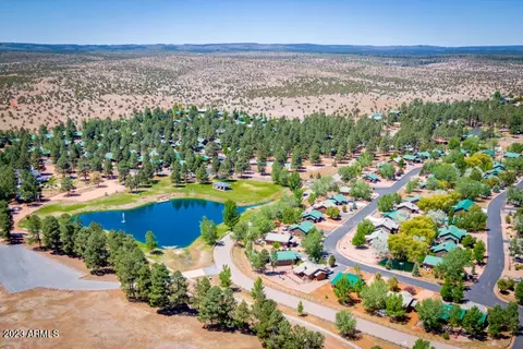 2725 High Pine Loop, Overgaard, AZ 85933 photo 47